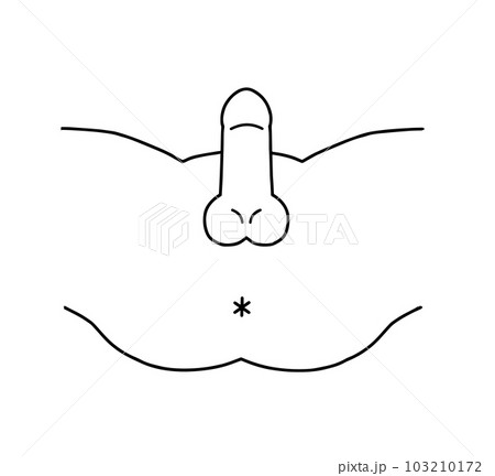 男性生殖器 線画イラスト 男性生殖器 線画イラスト 103210172