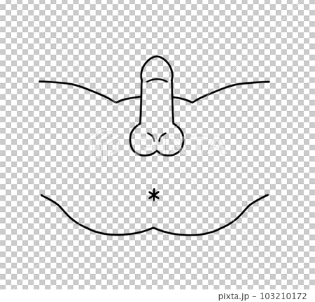 男性生殖器官線描插圖 男性生殖器官線描插圖 103210172