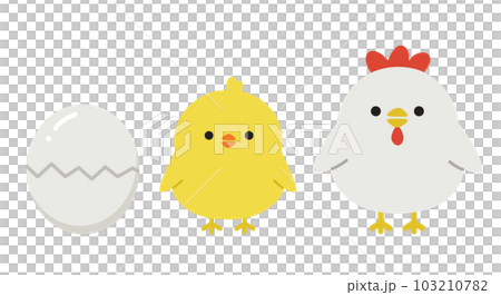 Full body illustration of a cute chicken and chick growing from an egg Full body illustration of a cute chicken and chick growing from an egg 103210782