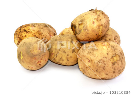 じゃがいも（キタアカリ） 103210884