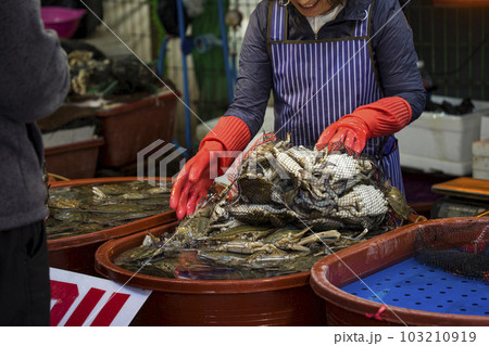 Landscape of Sorae Port Fisheries Market in Korea Landscape of Sorae Port Fisheries Market in Korea 103210919