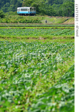 予土線を走る列車 予土線を走る列車 103212477