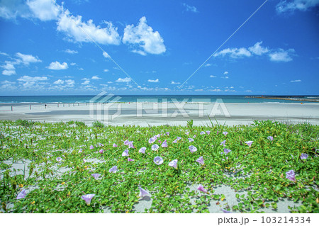 西浜海岸 103214334