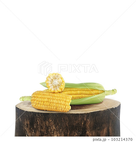 Corn on old wood log on white background Corn on old wood log on white background 103214370