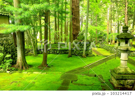 苔の禅寺・貞祥寺 103214417
