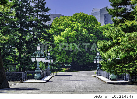 皇居　正門鉄橋横　正門鉄橋　（二重橋） 103214545