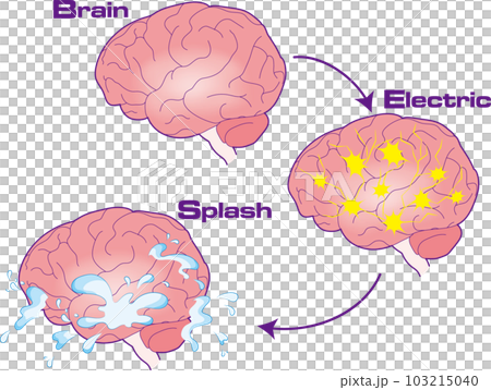 How dopamine is released when the brain is stimulated 103215040