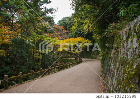秋の箕面公園・川沿いの遊歩道 103215599