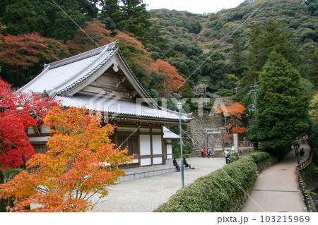 大阪・箕面公園にある瀧安寺 大阪・箕面公園にある瀧安寺 103215969