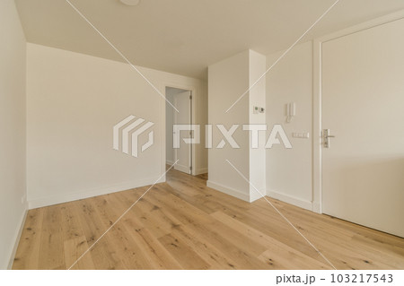 an empty room with white walls and wood flooring on the right side, there is a door that leads to another room an empty room with white walls and wood flooring on the right side, there is a door that leads to another room 103217543