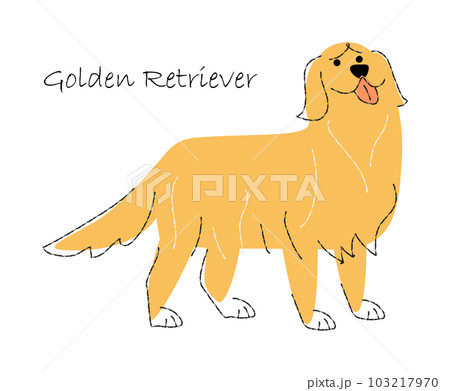 I did a cute doggo design Golden Retriever on Redbubble Can you give me  Feedback  9GAG