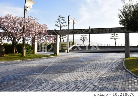 南越前町　河野ふれあいシーサイドパークのエントランスと満開八重桜 103218070