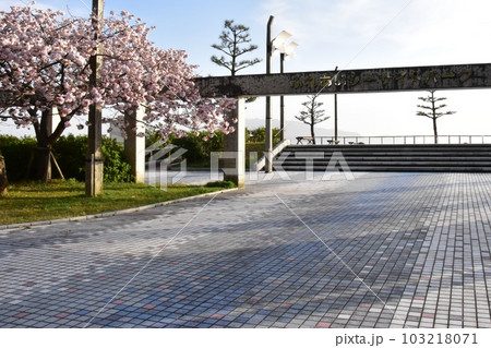 南越前町　河野ふれあいシーサイドパークのエントランスと満開八重桜 103218071