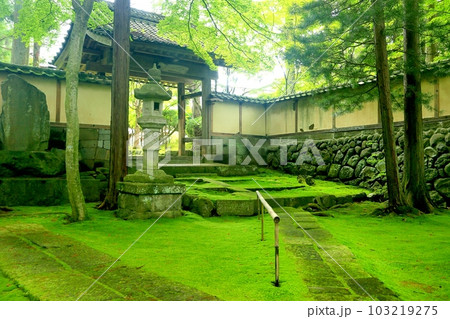 苔の禅寺・貞祥寺 103219275