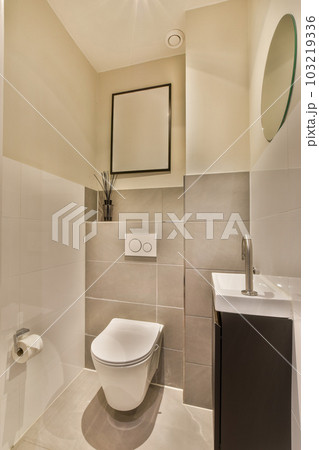 a bathroom with a toilet, sink and mirror on the wall in front of the shower stall is not visible 103219336