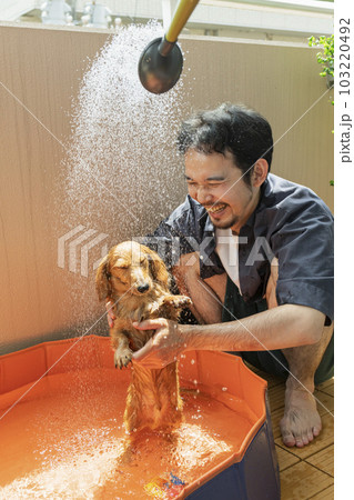 飼い犬と子供用プールで遊ぶ男性 103220492