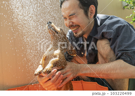 飼い犬と子供用プールで遊ぶ男性 103220499