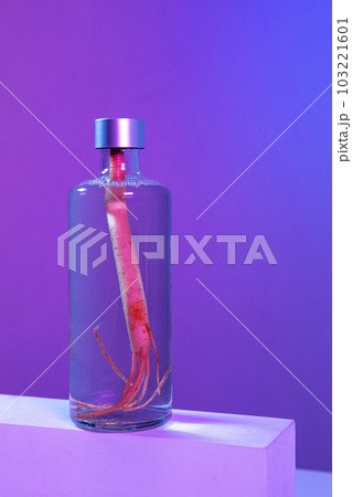 Korean Asian traditional infused liquor, wine, alcohol Korean Asian traditional infused liquor, wine, alcohol 103221601