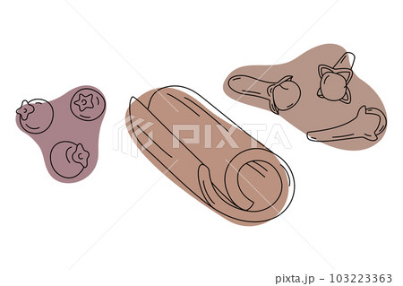 Hand drawn set of spices for mulled wine. Cinnamon stick, cloves and allspice with color spots. EPS 103223363