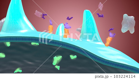 Platelet activation and aggregation play an important role in occlusive vascular events 103224114
