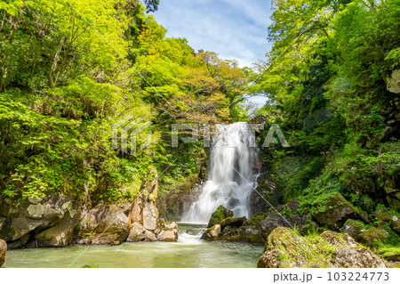 奈曽の白爆谷 103224773