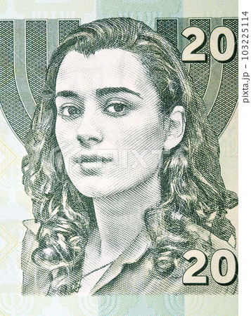 Ziva David a portrait from money 103225114
