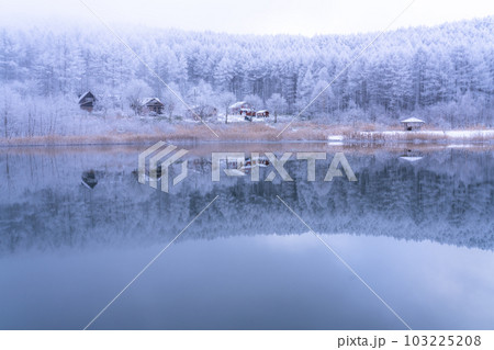 《長野県》雪景色の中牧湖・霧氷の森と湖のリフレクション 103225208