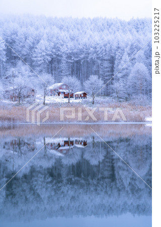 《長野県》雪景色の中牧湖・霧氷の森と湖のリフレクション 103225217