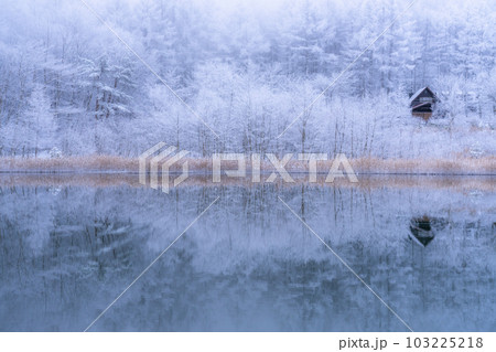 《長野県》雪景色の中牧湖・霧氷の森と湖のリフレクション 103225218