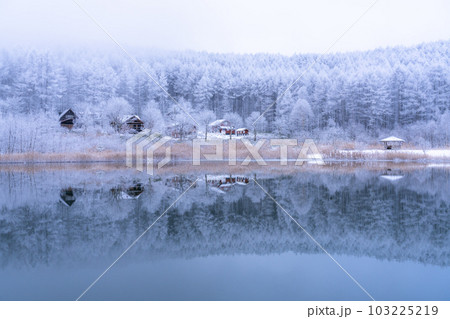 《長野県》雪景色の中牧湖・霧氷の森と湖のリフレクション 103225219
