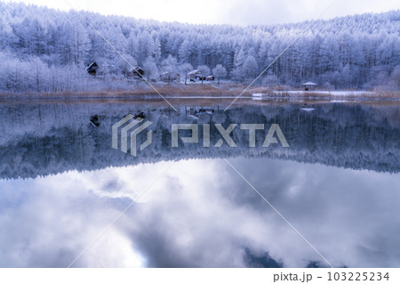 《長野県》雪景色の中牧湖・霧氷の森と湖のリフレクション 103225234