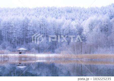 《長野県》雪景色の中牧湖・霧氷の森と湖のリフレクション 103225235