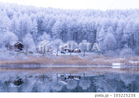 《長野県》雪景色の中牧湖・霧氷の森と湖のリフレクション 103225238