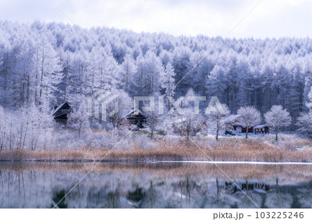 《長野県》雪景色の中牧湖・霧氷の森と湖のリフレクション 《長野県》雪景色の中牧湖・霧氷の森と湖のリフレクション 103225246
