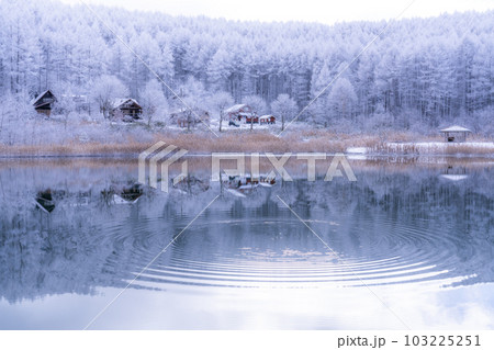 《長野県》雪景色の中牧湖・霧氷の森と湖のリフレクション 103225251