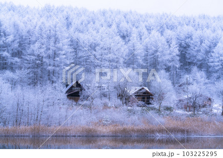 《長野県》雪景色の中牧湖・霧氷の森 《長野県》雪景色の中牧湖・霧氷の森 103225295