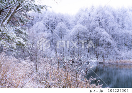 《長野県》雪景色の中牧湖・霧氷の森 《長野県》雪景色の中牧湖・霧氷の森 103225302