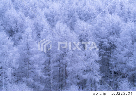 《長野県》雪景色の中牧湖・霧氷の森 103225304