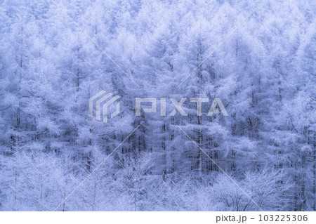 《長野県》雪景色の中牧湖・霧氷の森 《長野県》雪景色の中牧湖・霧氷の森 103225306