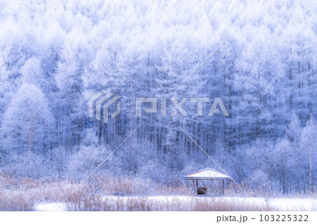 《長野県》雪景色の中牧湖・霧氷の森 103225322