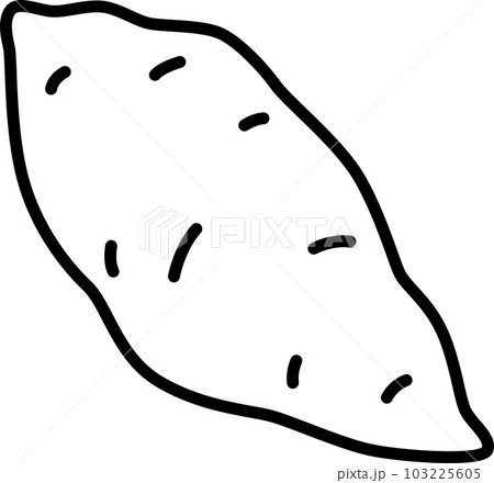 sweet potato food sketch hand drawn vector (3387209)