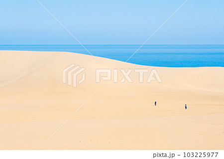 鳥取砂丘 103225977