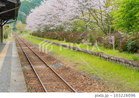 嘉例川駅と桜の風景 103226096