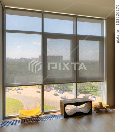 Roller blinds on the windows in the interior. Automatic solar shades on full height windows. Motorized sunscreen blinds with screen fabric. Ginger cat lies on a couch near the window with curtains. 103226179