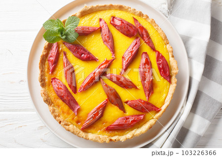 Rhubarb custard tart or pie closeup on the plate. Horizontal top view 103226366