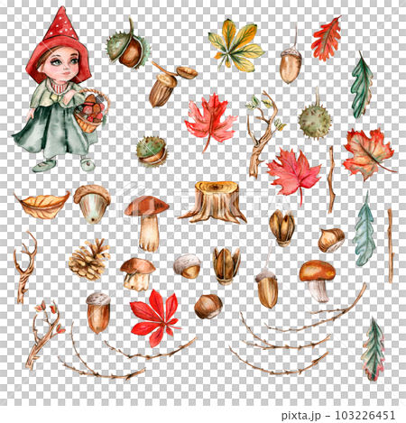 Autumn set of leaves and mushrooms. Hand drawn illustration of autumn. Perfect for scrapbooking, kids design, wedding invitation, posters, greetings cards, party decoration. 103226451