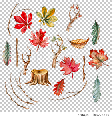 Autumn set of leaves and mushrooms. Hand drawn illustration of autumn. Perfect for scrapbooking, kids design, wedding invitation, posters, greetings cards, party decoration. 103226455
