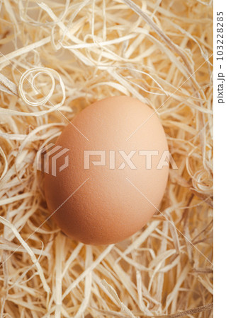 Whole chicken egg on straw. Top view. Whole chicken egg on straw. Top view. 103228285
