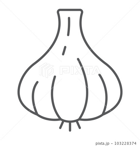 Garlic thin line icon, vegetable and diet Garlic thin line icon, vegetable and diet 103228374