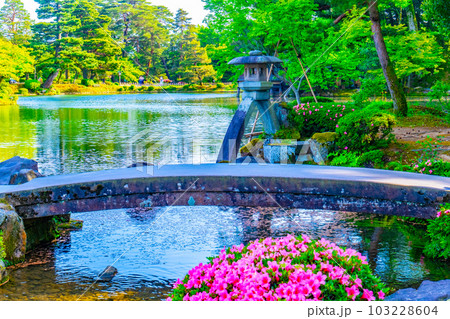 新緑の兼六園 103228604